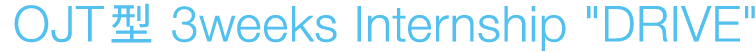 OJT型3Weeks Internship Drive